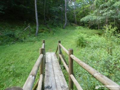 Sierras de Neila y Urbión;rutas senderismo asturias arbol de la vida celta pirineos orientales clubs